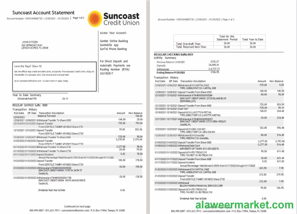 USA Suncoast bank statement Word and PDF template 1-2